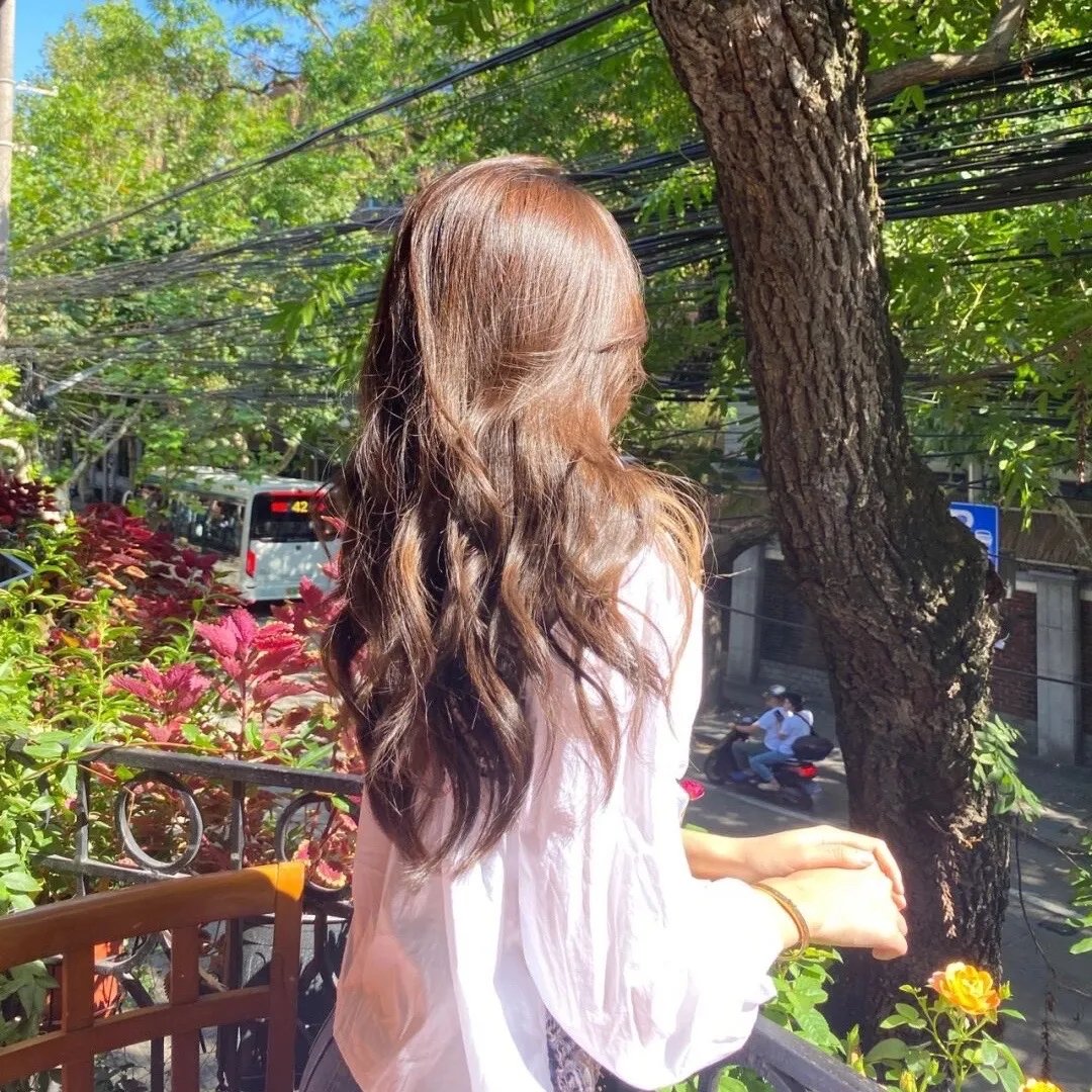 正逢佳节龙婿归