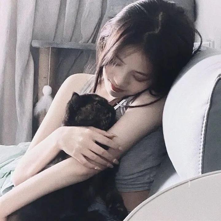 馅饼侦探 第三季